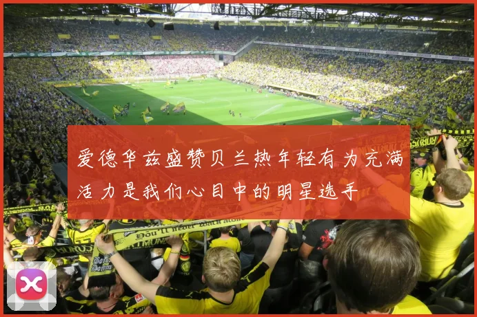 爱德华兹盛赞贝兰热年轻有为充满活力是我们心目中的明星选手